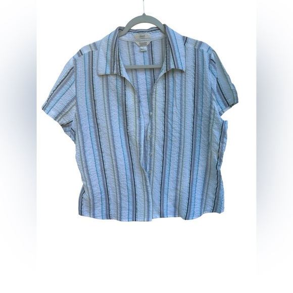 Christopher & Banks Tops - Christopher & Banks Blue Striped Button-Down Shirt